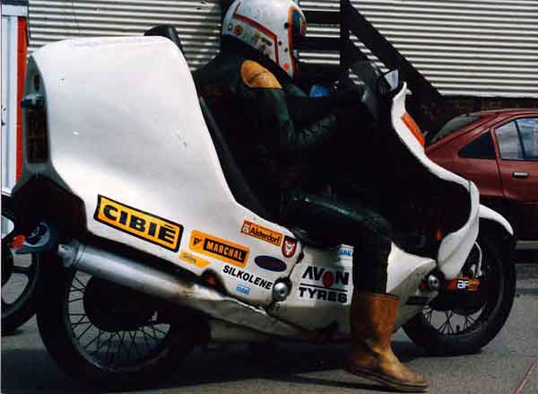 in the paddock