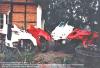 4 FFs @ Field Cottage in 1982