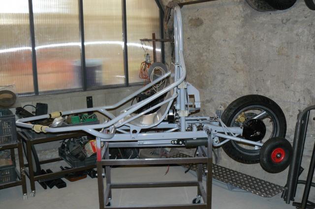 Building Typus...