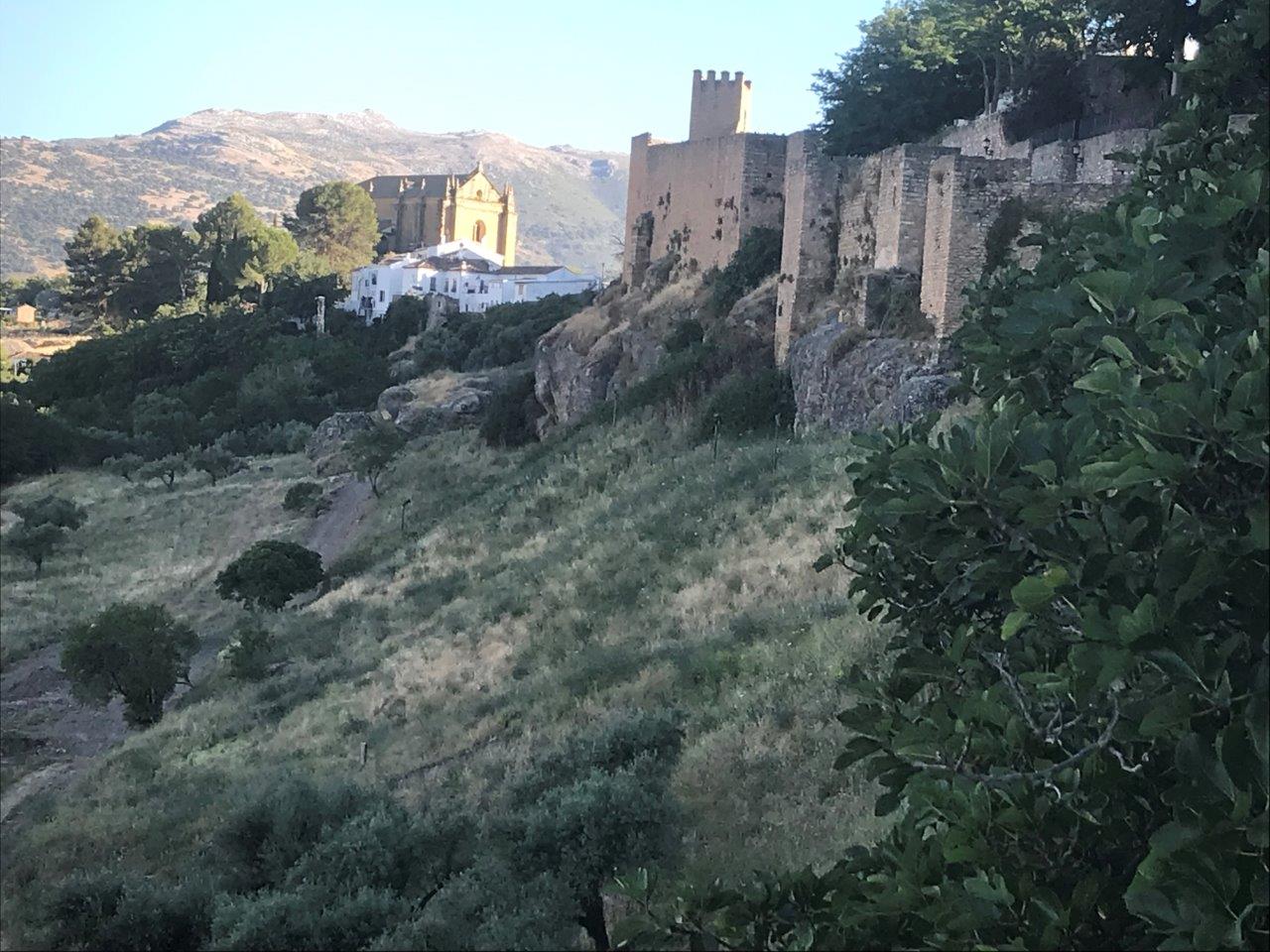 Ronda 4