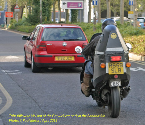 Tribs Rides Bananaskin (Rear View)