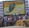 Gurney & Alligator on screen at Goodwood