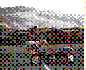 C70LLAN
