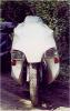 The Bruce Auto CB400 Dream_2