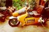 Dodds K100FF LHS