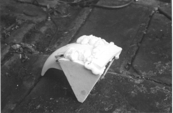 fig11