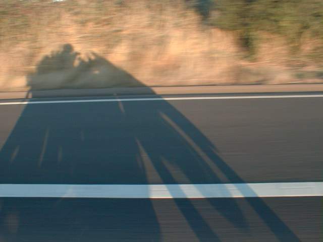 AB Not spider, Bananaskin Shadow!