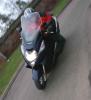 ABS Silver Wing