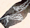 TESTS8